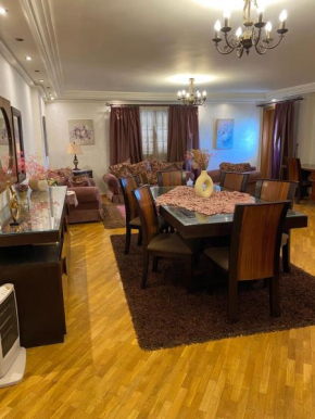 Luxury Apartment